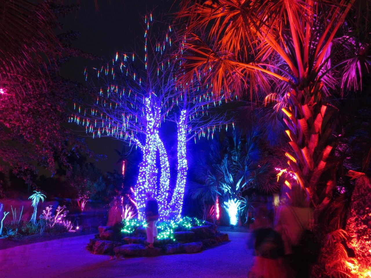 Les grandioses illuminations de Noël des Jardins Botaniques de Naples (Floride)