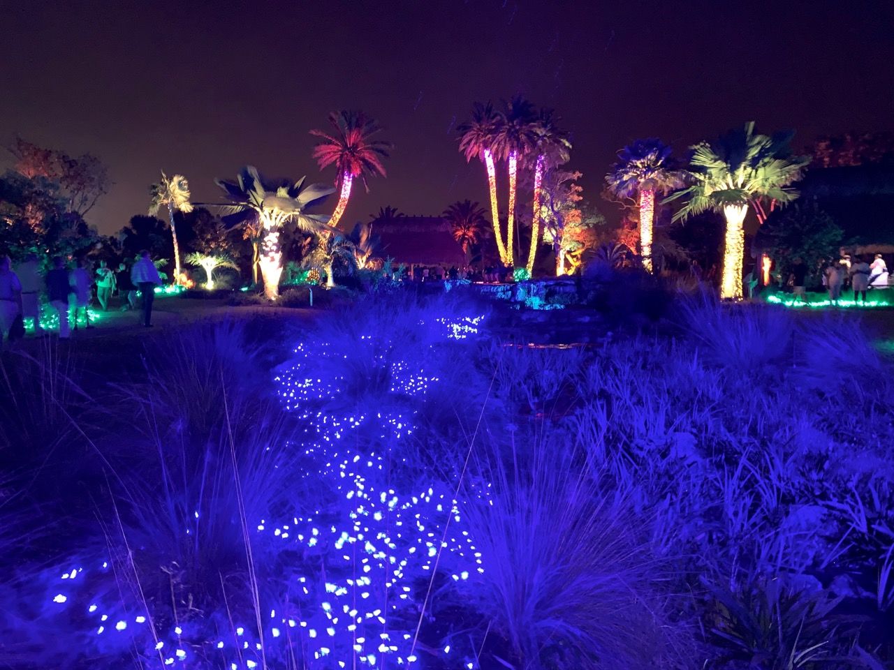 Les grandioses illuminations de Noël des Jardins Botaniques de Naples (Floride)