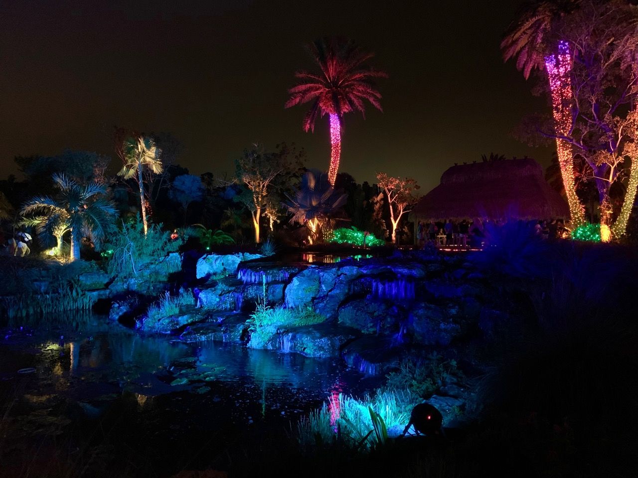 Les grandioses illuminations de Noël des Jardins Botaniques de Naples (Floride)