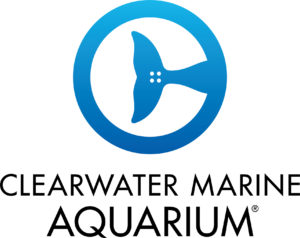 Clearwater Marine AquariumClearwater Marine Aquarium