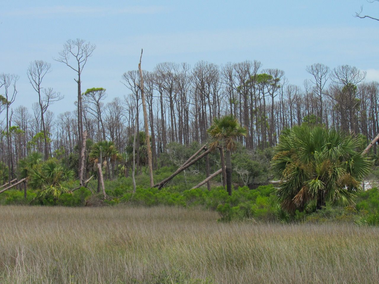 L'ouragan Michael a ravagé d'importantes parties du State Park