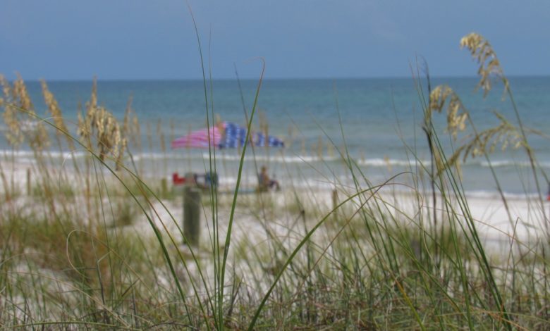 Le St Jospeh Peninsula State Park en Floride