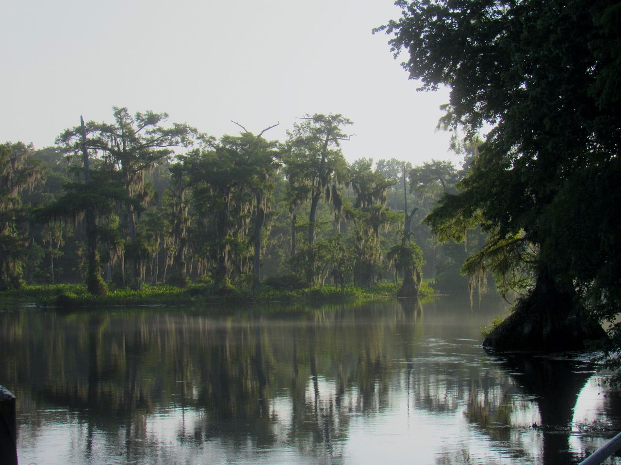 Wakulla State Park en Floride