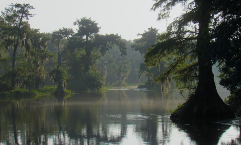 Wakulla State Park en Floride