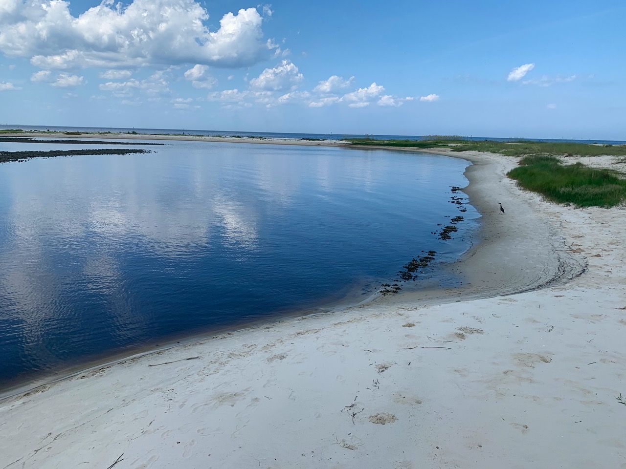 Bald Point State Park