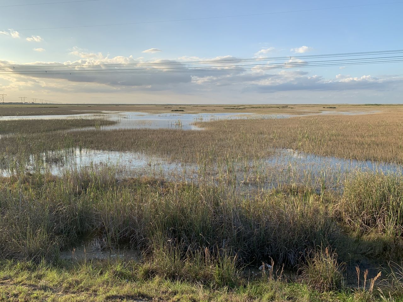 Les Everglades vus depuis la digue de Markham Park à Sunrise
