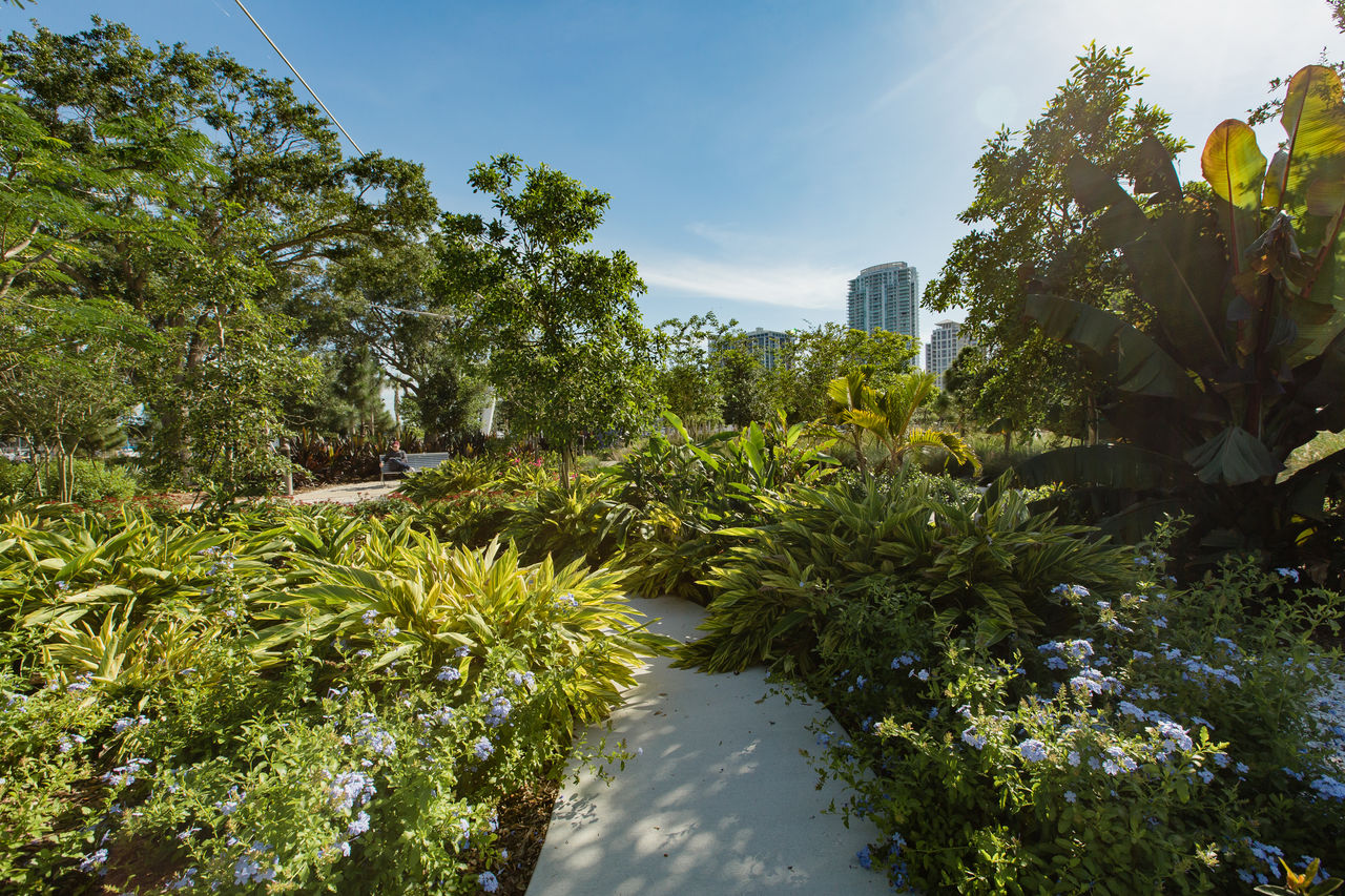Le nouveau pier de St Petersburg en Floride (crédit photo : City of St Petersburg).