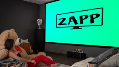 Pour voir la télé en Français depuis la Floride (ou ailleurs aux Etats-Unis) : Zapp !
