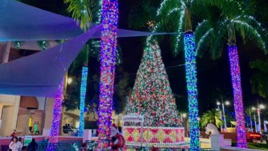 Hallandale : les décorations de Noël au Gulfstream Park en vidéo et photos
