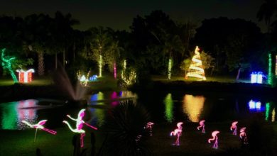 Miami : les belles décorations de Noël des Pinecrest Gardens