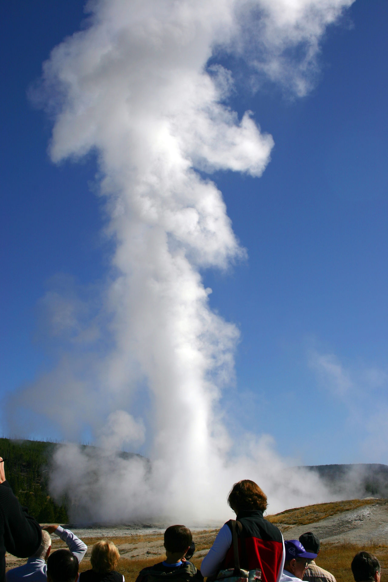 Old Faithful Geyser à Yellowstone