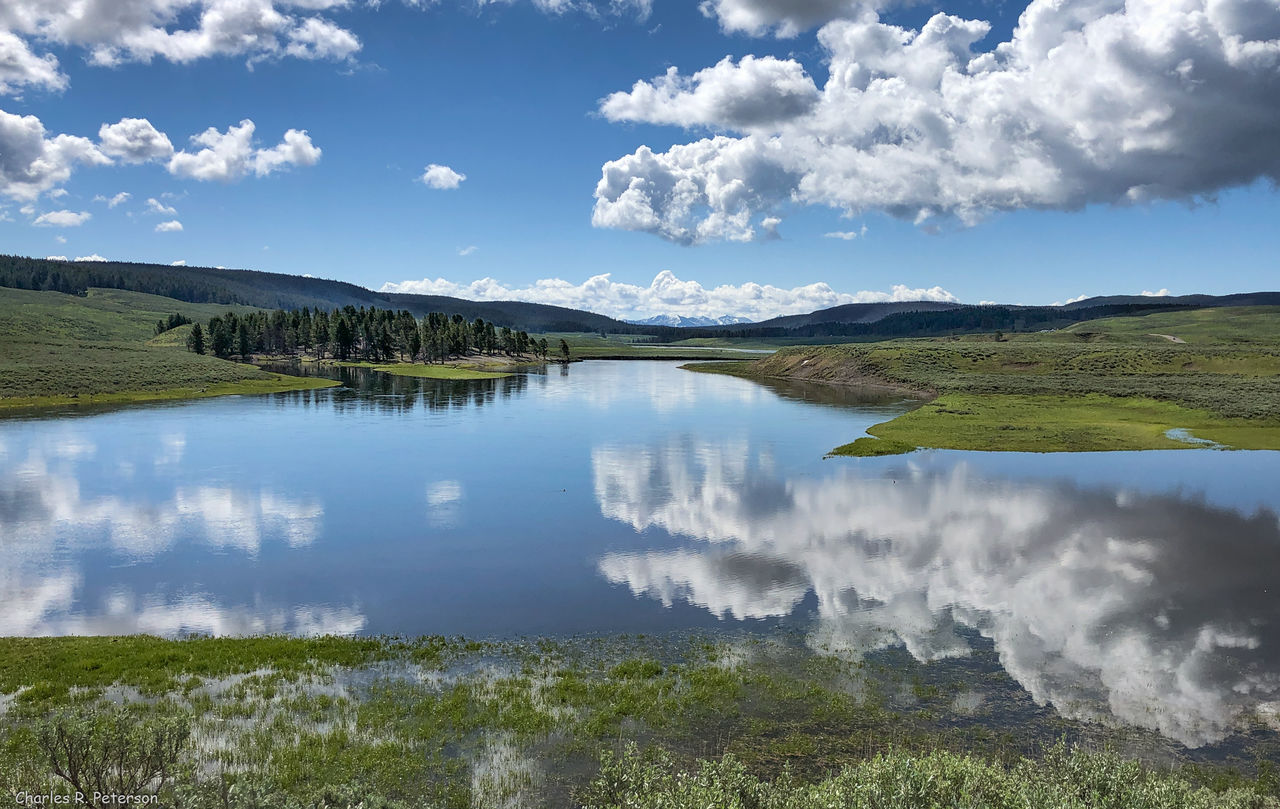 Hayden Valley à Yellowstone