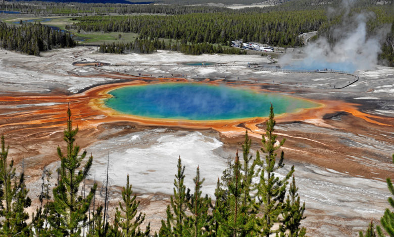 Visiter Yellowstone : le guide de voyage !