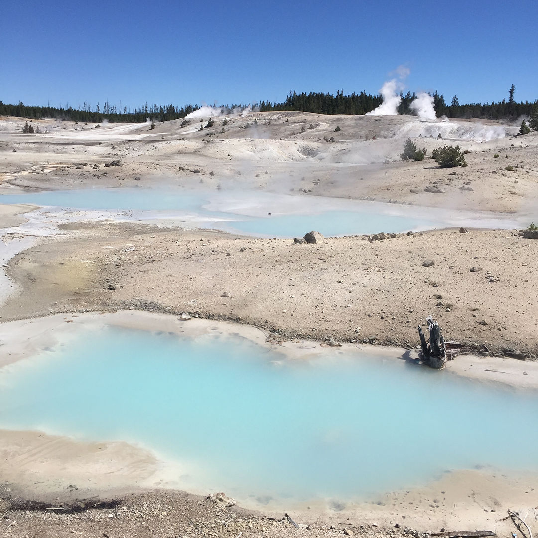 Visiter Yellowstone : le Norris Geyser Basin.