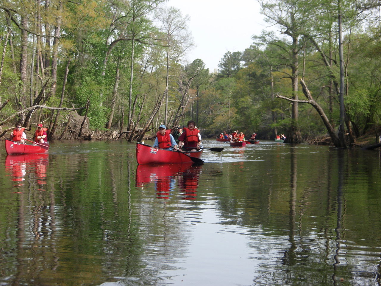 Boy Scouts sur la Blackwater River en Virginie. Crédit photo : Rlevse, Domaine Publique.