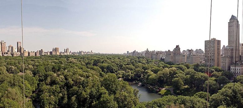 Guide de Central Park : visite du géant vert de Manhattan, à New-York