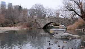 Visiter Central Park
