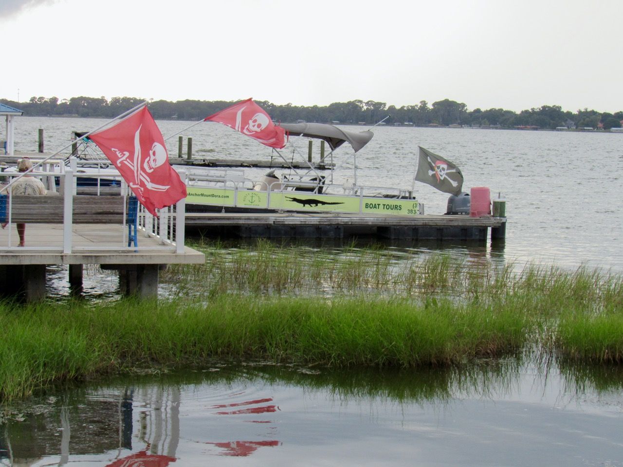 Tours en bateau à Mount Dora