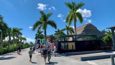 Le Yellow Green Farmers Market de Hollywood : un endroit fantastique en fin de semaine