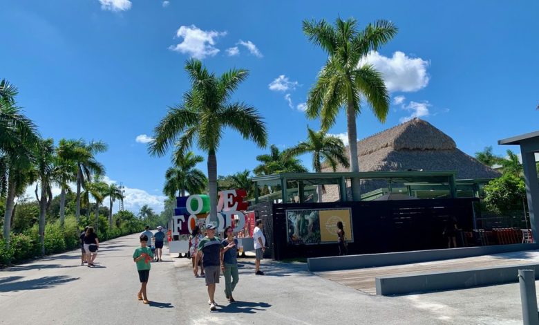 Le Yellow Green Farmers Market de Hollywood : un endroit fantastique en fin de semaine