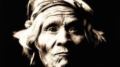 Livres : Le Royaume de Saguenay, par Stéphane Bardon