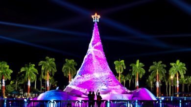 Noël en Floride du sud : Les soirées de lancement des illuminations et animations en novembre 2021. Cette photo : Sandi à West Palm Beach.