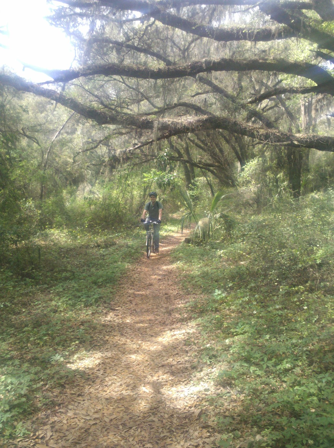 Les circuits de VTT de Santos (près d'Ocala au nord d'Orlando).