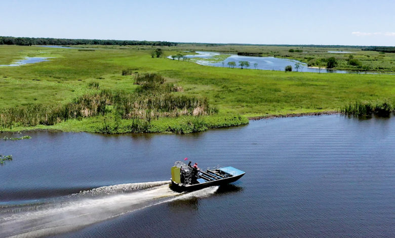 tour d'airboat au Black Hammock (nord d'Orlando)