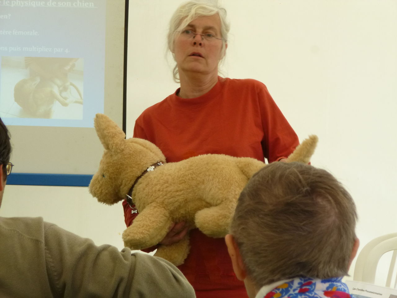 Si vous voulez apprendre à prévenir les problèmes qui peuvent arriver à votre chien, ou bien les gestes qui sauvent en cas d'accident, vous pouvez faire appel à Christine Escanes qui est coach en "comportement canin" en sud Floride (Miami et Broward).