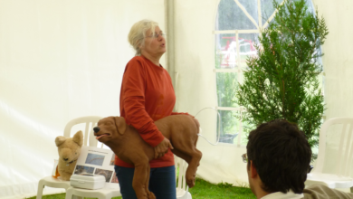 Christine Escanes : coach en comportement canin en sud Floride