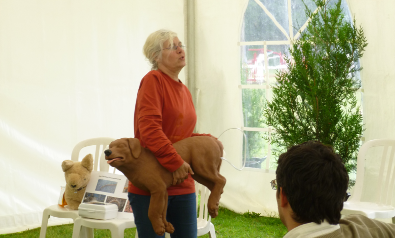 Christine Escanes : coach en comportement canin en sud Floride