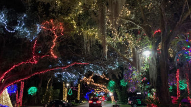 Les décorations de Noël de la Enchanted Place of North Miami