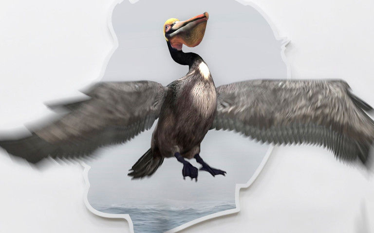 Expo : Alex Israel X Snapchat