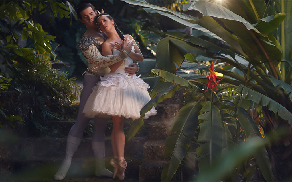 Ballet : Le Lac des Cygnes