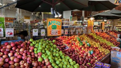The Boys : un des plus beaux Farmers Market du Sud Floride