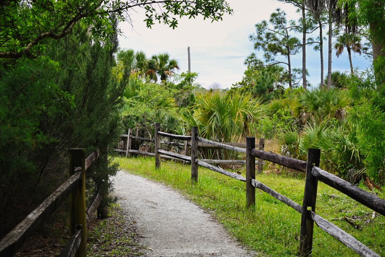 Hog Hammock Trail : pour faire du vélo à West Palm Beach