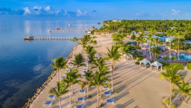 Floride : organiser ses "Daycations" dans les beaux hôtels et pour pas très cher