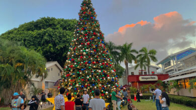 Noël 2022 à Miami et en Floride : messes, spectacles, parades, décorations, tout sur les fêtes de fin d'année ! (cette photo : Bayfront Park à Miami l'an passé)