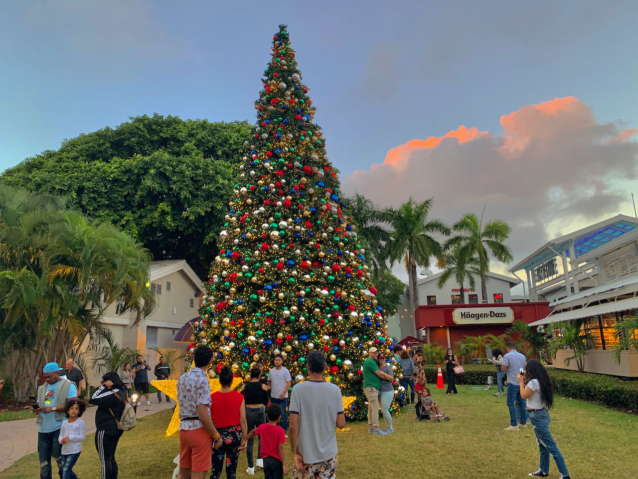 Noël 2022 à Miami et en Floride : messes, spectacles, parades, décorations, tout sur les fêtes de fin d'année ! (cette photo : Bayfront Park à Miami l'an passé)