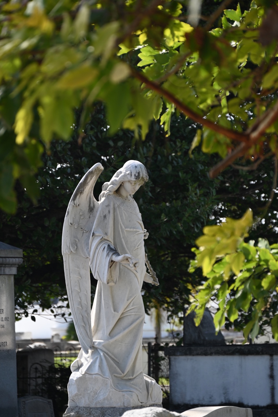 Tombe de Gladys Bates au cimetière de Key West