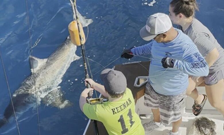Ft Lauderdale : un garçon de 12 ans pêche un grand requin blanc (vidéo) !