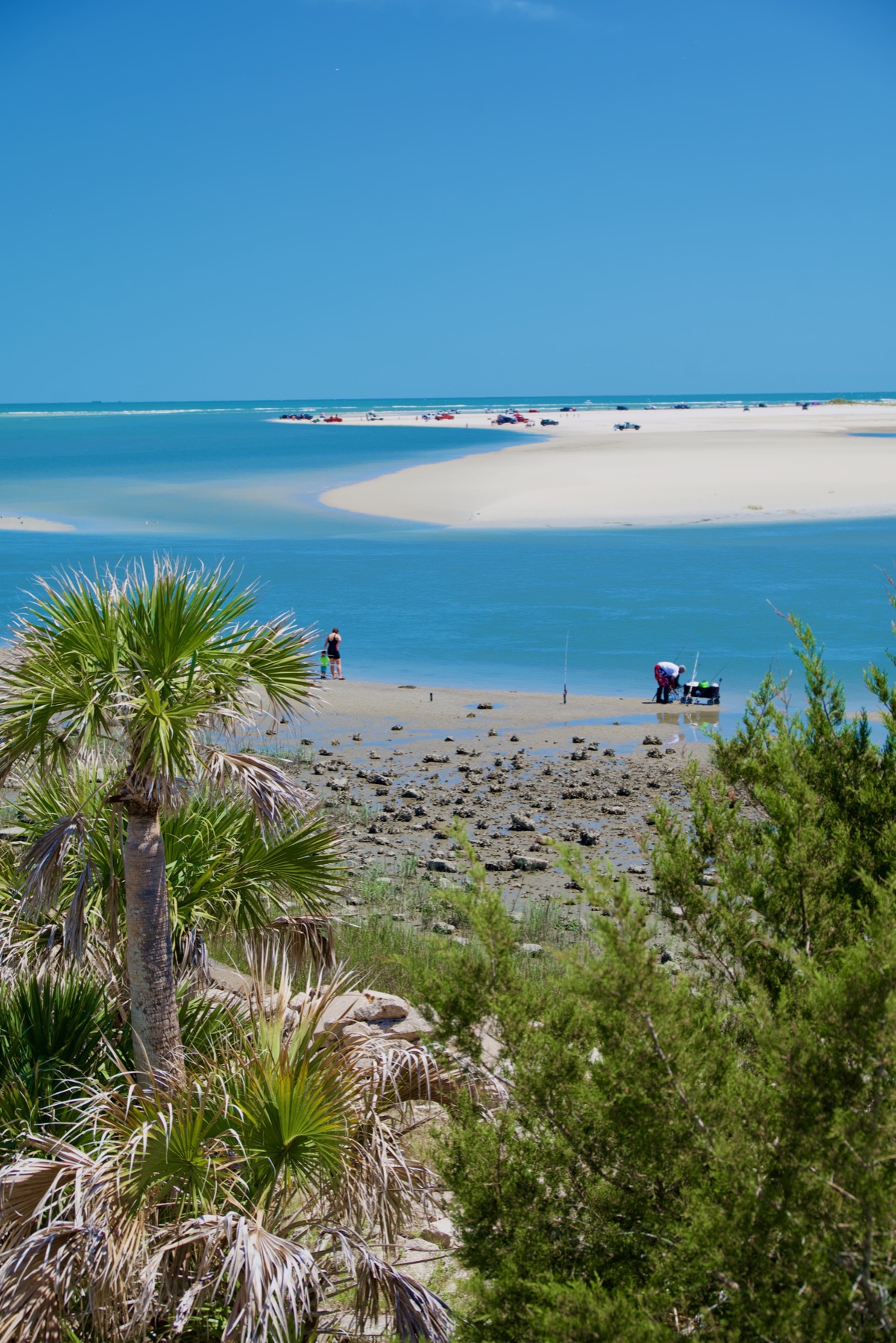 Route scénique Hecksher Drive dans la Timucuan Preserve à Jacksonville