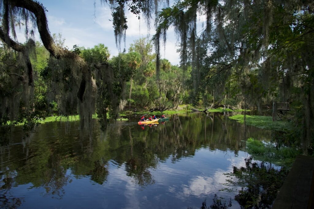 Blue Spring State Park, une belle source bleue près d'Orlando (Floride) avec de nombreux lamantins