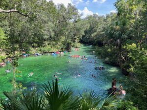 Blue Spring State Park, une belle source bleue près d'Orlando (Floride) avec de nombreux lamantins