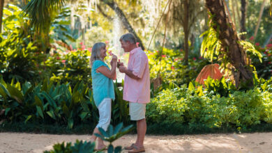 Notre Dossier Spécial « Snowbirds en Floride » 2023-2024