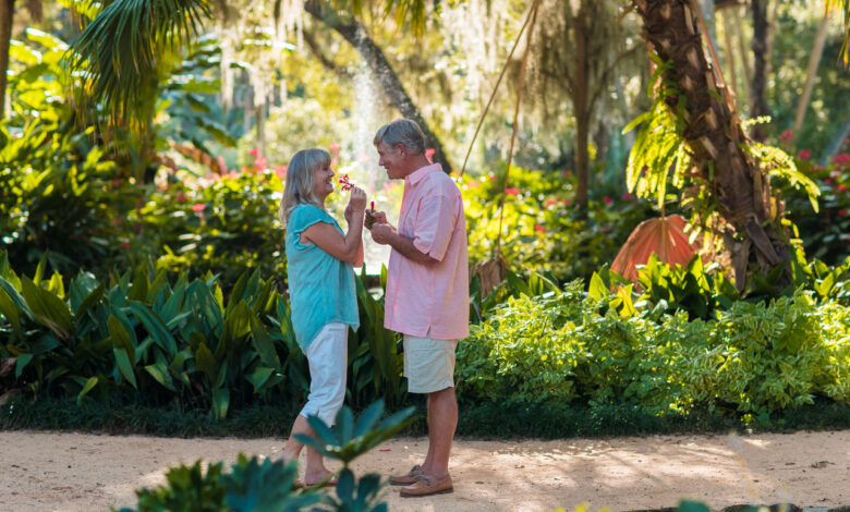 Notre Dossier Spécial « Snowbirds en Floride » 2023-2024