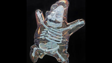 Les spectacles, fêtes et expositions à Miami (et sud Floride) en Novembre 2023