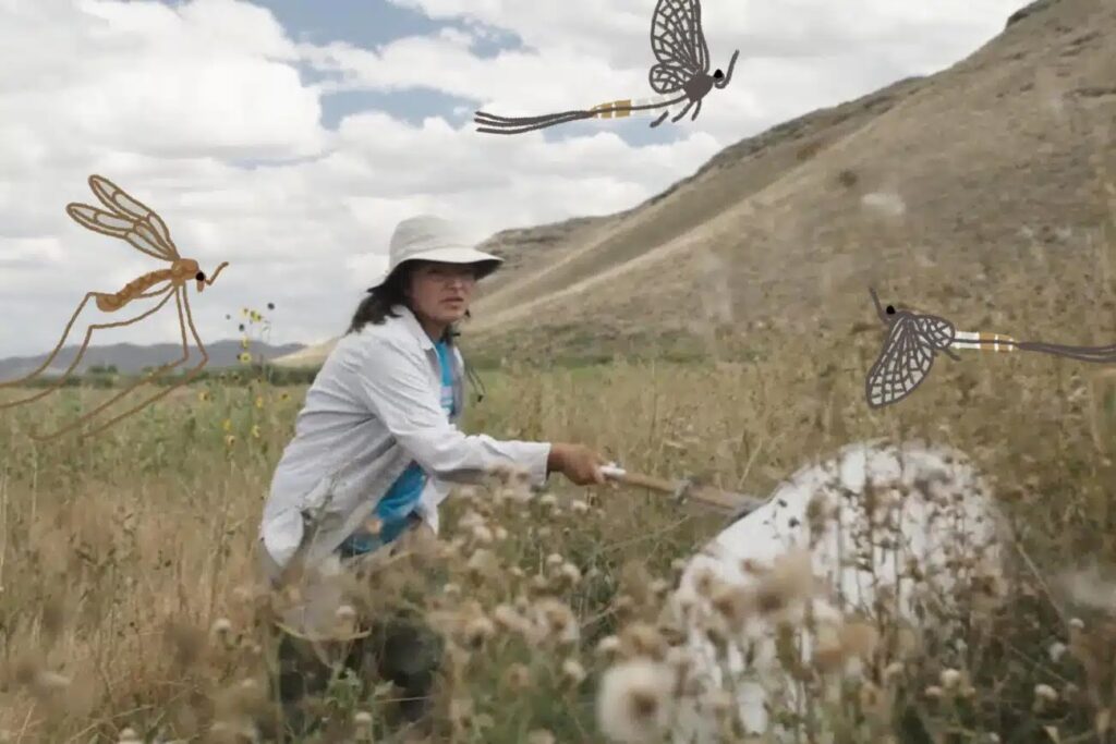 Science Fair: The Series