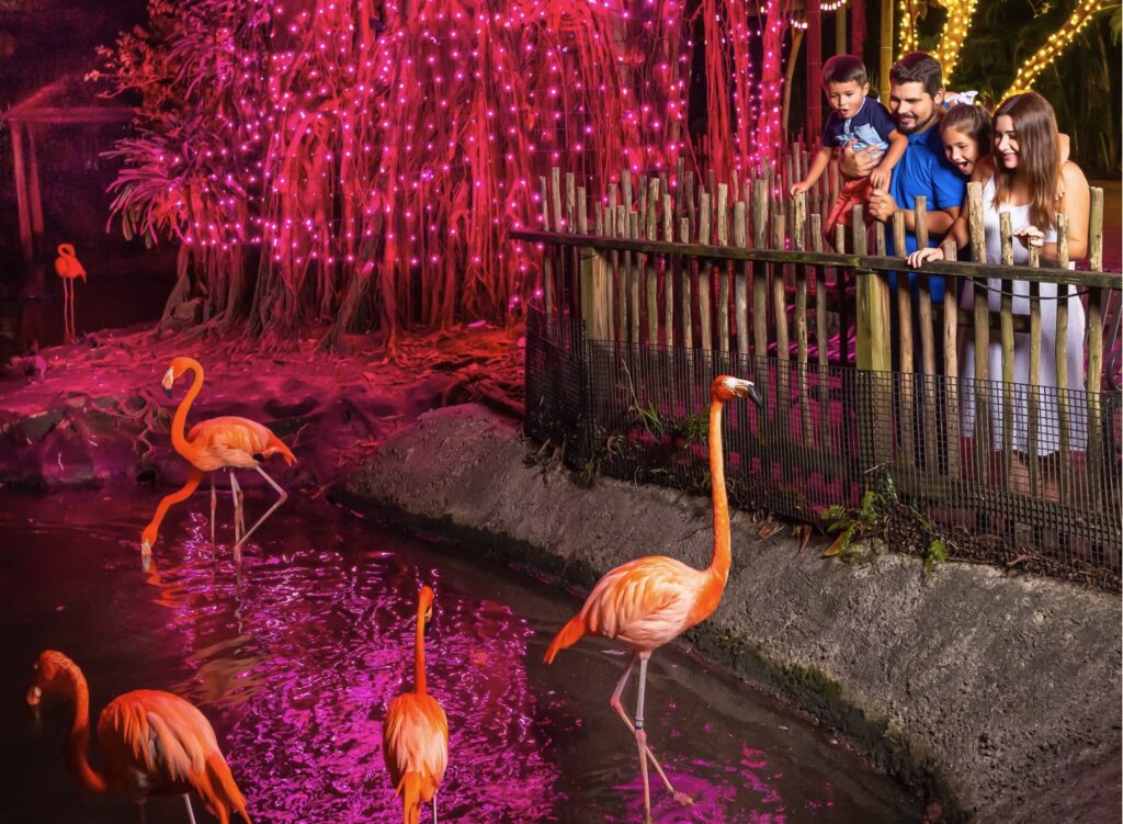 Zoo Lights West Palm Beach Floride