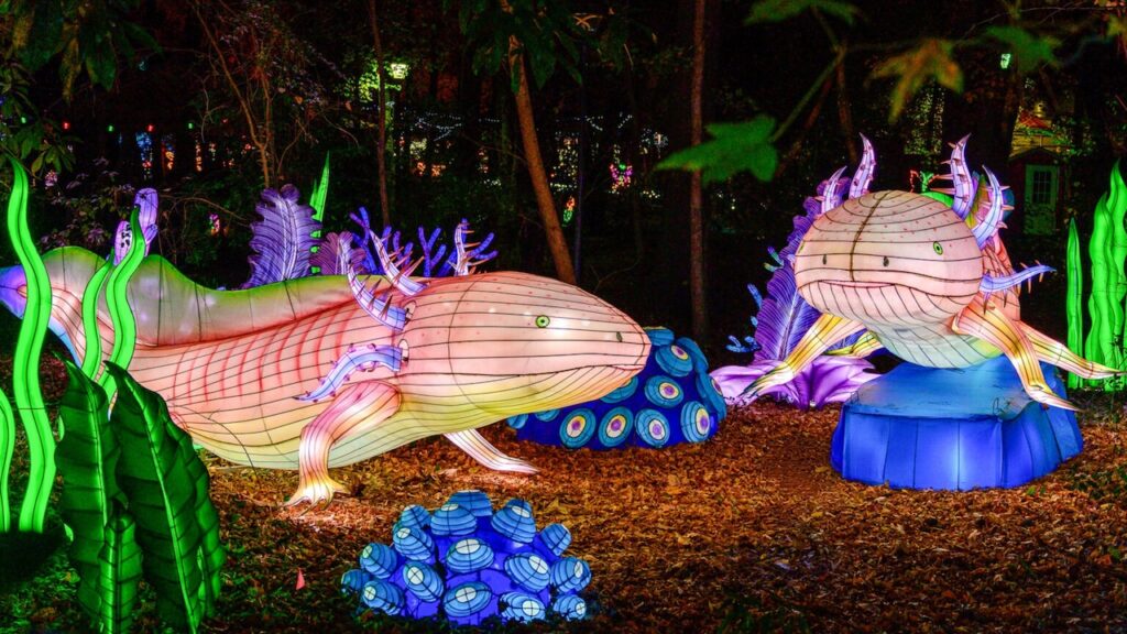 Asian Lantern Festival Sanford Floride